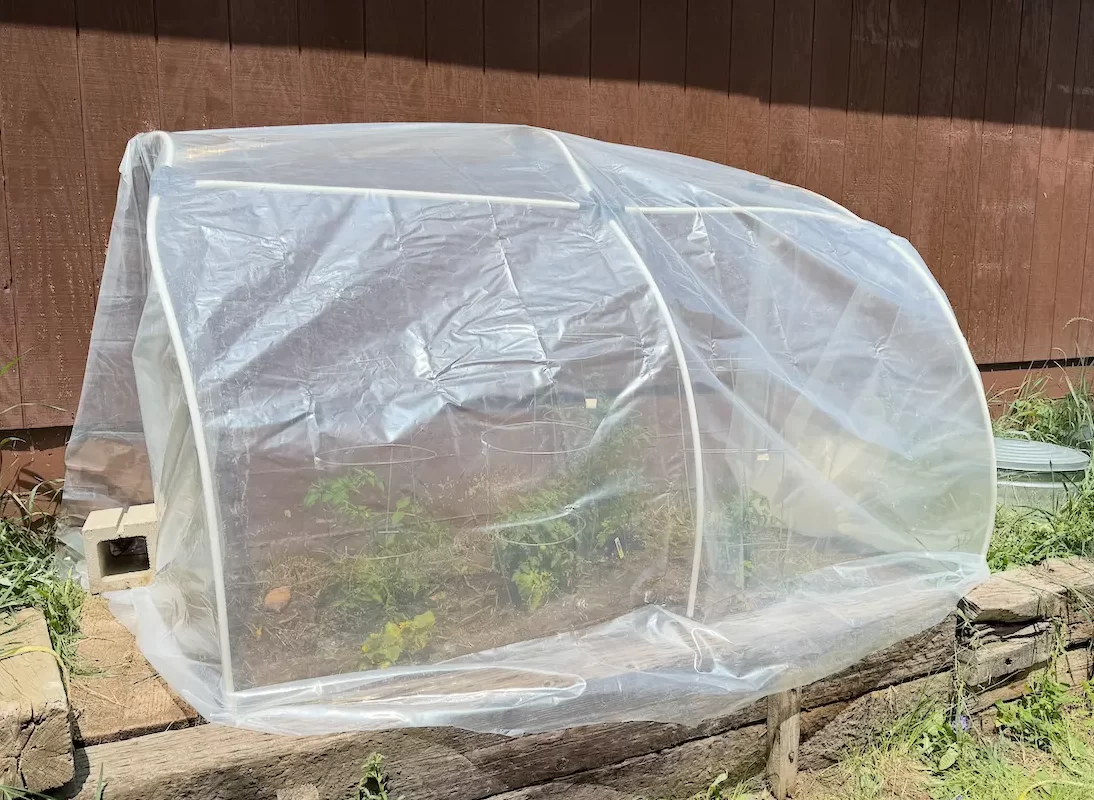 DIY PEX hoop house greenhouse for mountain gardening