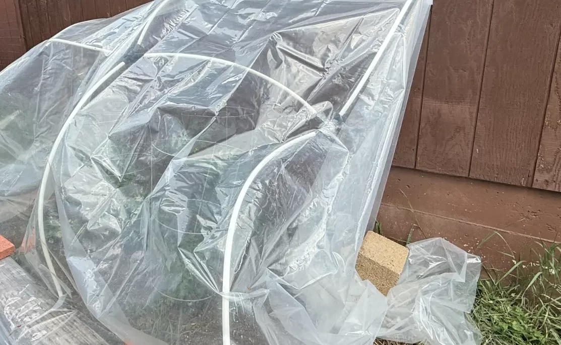 3D piece warped and collapsing the hoop house.